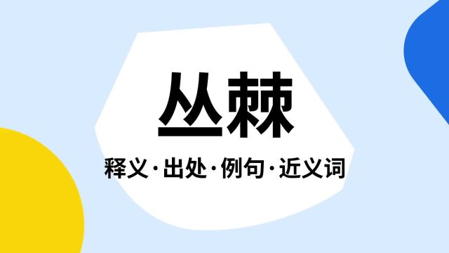 “丛棘”是什么意思?