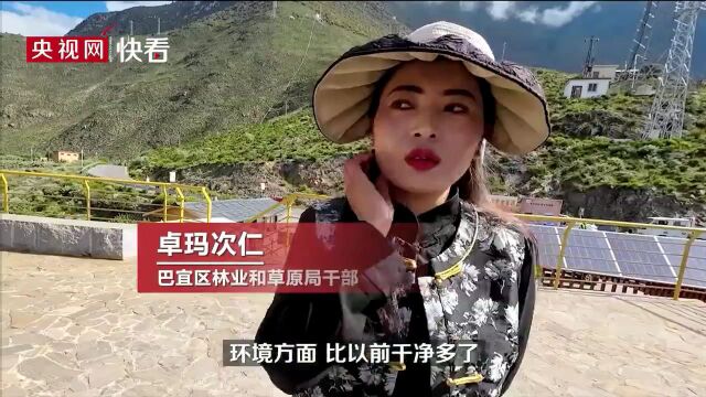 我们的家园|守护绿水青山 共书浪漫答卷