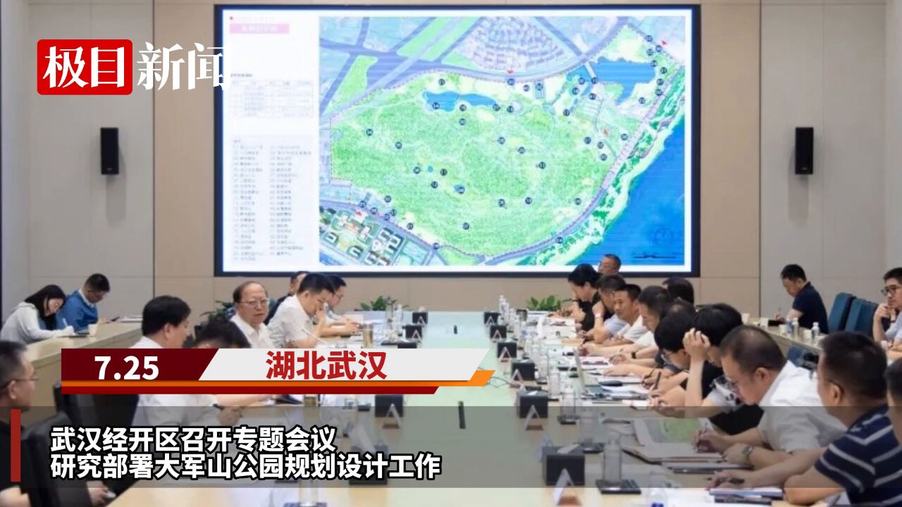 【视频】武汉经开区规划建设大军山公园