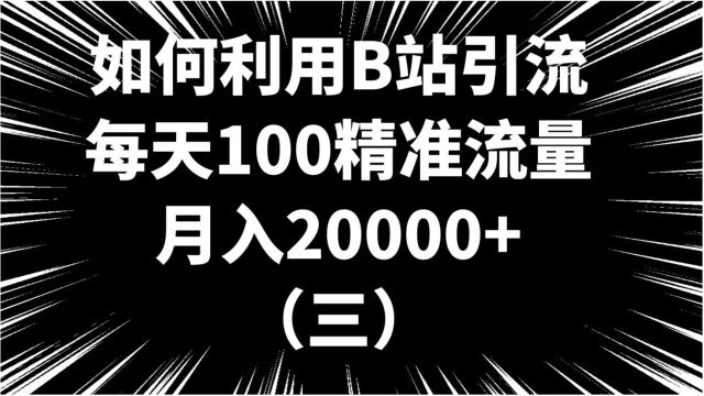 项目拆解,B站引流每天100精准流量,零基础月入超过20000+(三)