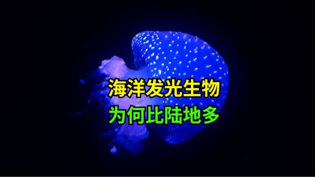 海洋发光生物比比皆是,为何陆地发光生物屈指可数?科普