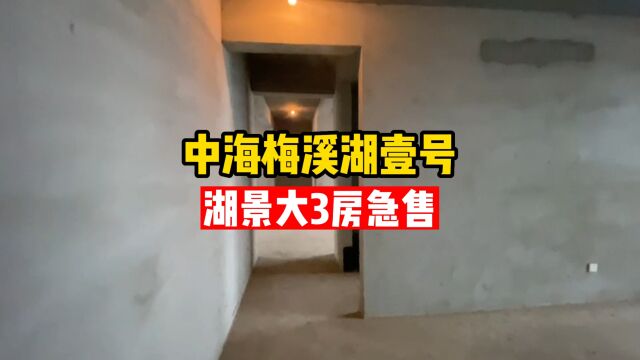 梅溪湖南岸品质住区中海梅溪湖壹号 入读9年博才梅溪湖小学(南校区)和湖南师大附中梅溪湖中学 126㎡大3房业主急售