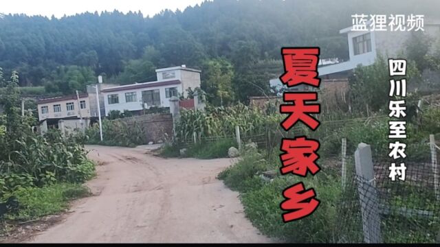 四川乐至农村,夏天家乡很美