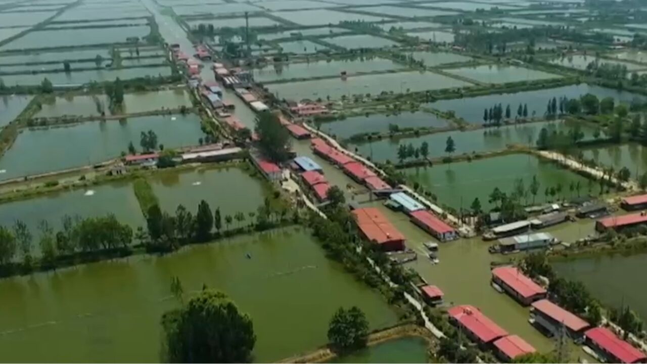 运河让天南地北的距离不再遥远,为微山湖畔的人们送来了财富