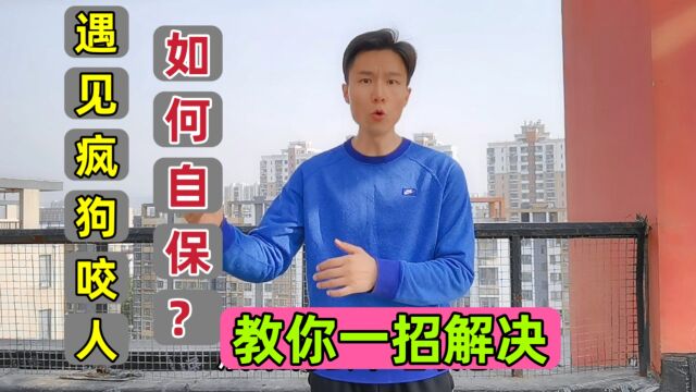 遇见疯狗咬人怎么办?10年训犬师一招制服,值得每个人学习