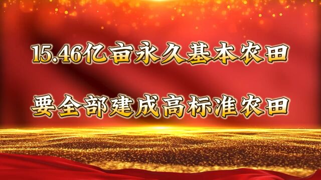 永久基本农田全部建成高标准农田