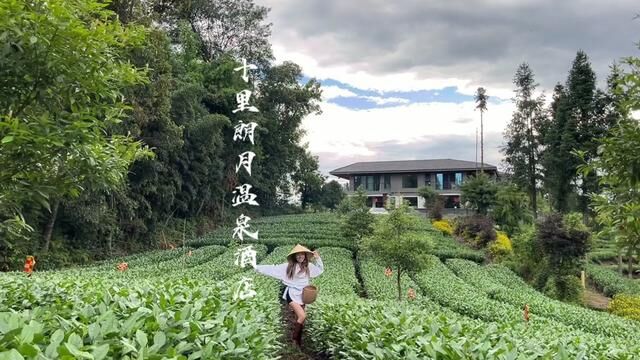 这个周末在雅安找到了“有风小院”,在院子看云卷云舒,在万亩茶园当一天采茶姑娘!!#十里朗月 #茶园风光 #雅安民宿 #好好旅游节