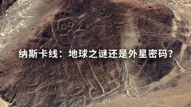 神秘的纳斯卡线:外星人在地球留下的印记?