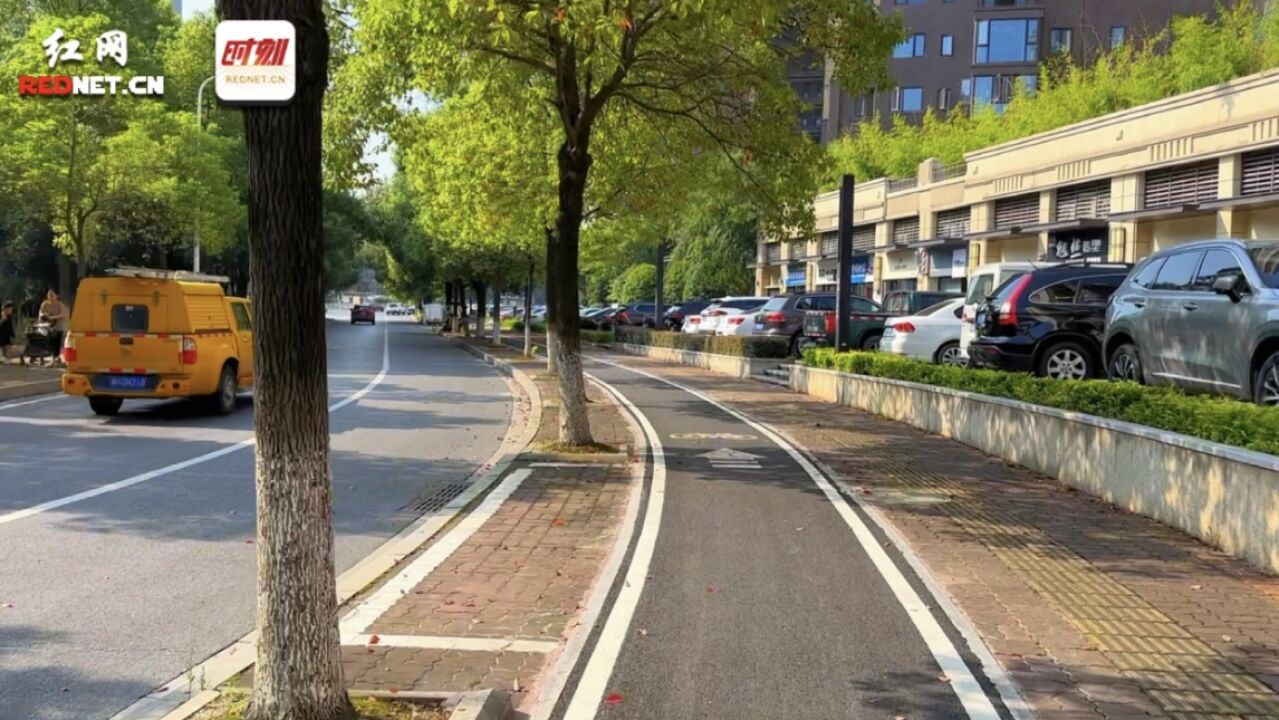 可骑行可慢跑可散步 益阳15条城市绿道经过你家门口了吗?