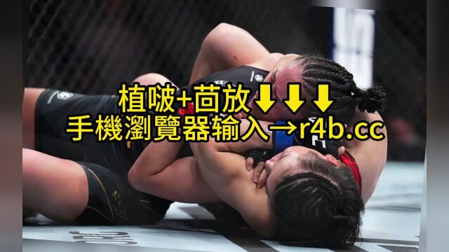 2023UFC292官方直播:张伟丽vs阿曼达莱莫斯在线(全程)高清中文观看