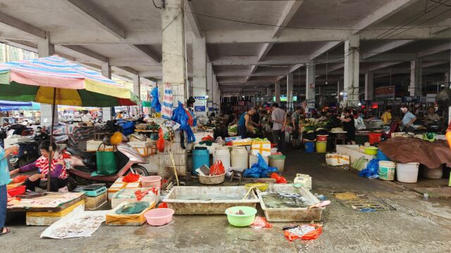 乡村行191广西钦州市灵山县平山镇