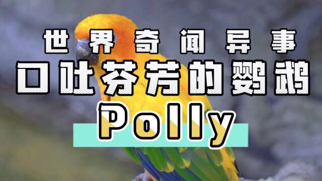 世界奇闻异事/口吐芬芳的鹦鹉Polly