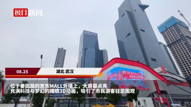 【视频】华中首家京东MALL即将开业