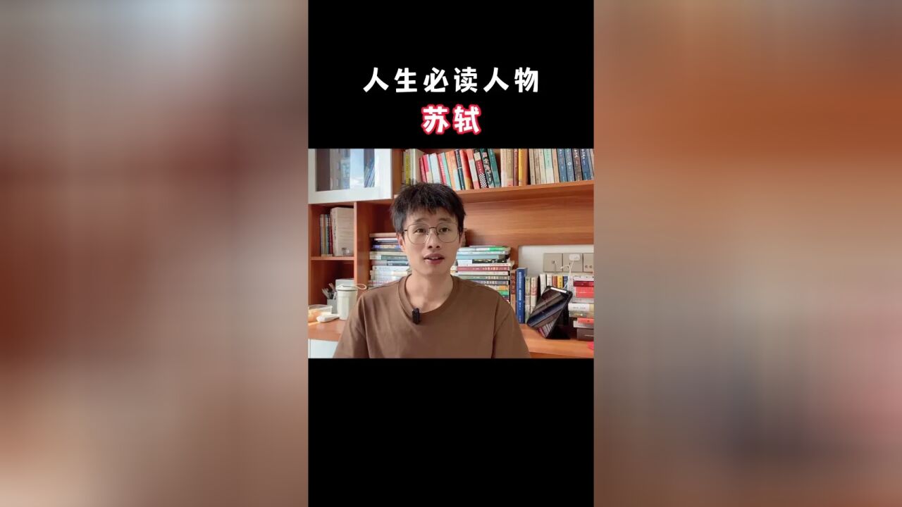 没有什么“无可救药的乐天派”,只有不断与自我和解的普通人#苏轼传 #好书分享 #诗词vae