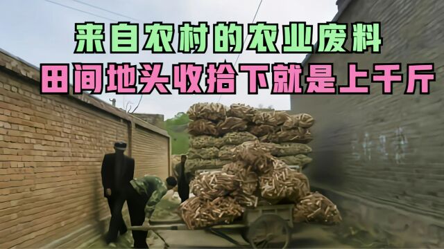 河南夫妻跨省到山西农村,收购一种淘汰农业废料,可能你家也有?