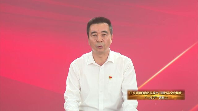 学习贯彻自治区党委十三届四次全会精神ⷢ€œ一把手”谈安全 | 青铜峡市大坝镇党委书记袁续兵