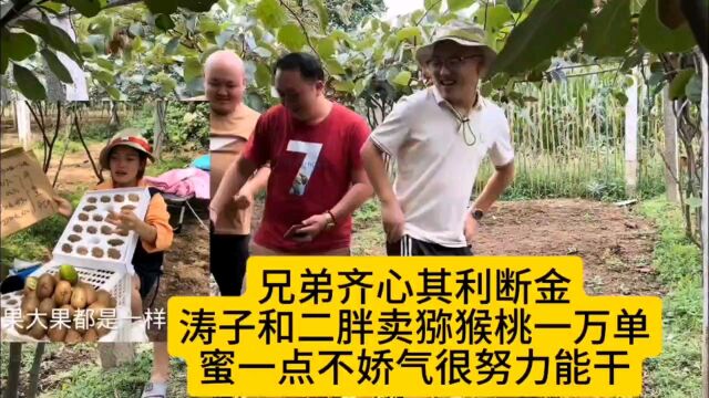 兄弟齐心其利断金,涛子子和二胖卖猕猴桃一万单,蜜也很努力能干