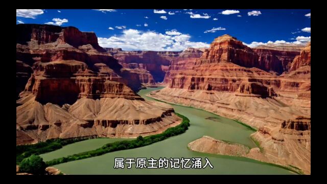 热门古言《咸鱼狂妃》楚千漓风夜玄全文【完整版】