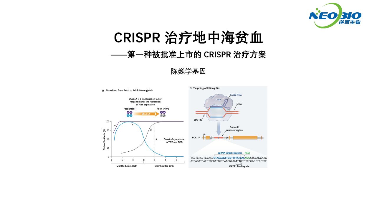 【陈巍学基因】第一个被批准上市的 CRISPR 治疗方案