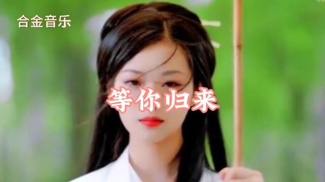 等你归来,披星戴月,乘风而来.