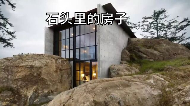 绿色屋顶混凝土房屋设计,房子嵌入到了岩石中