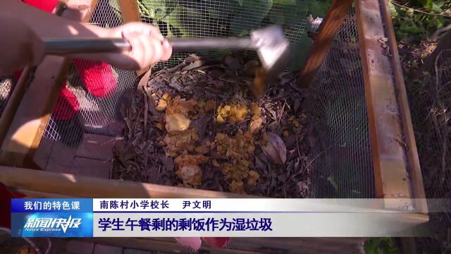 【我们的特色课】南陈村小学:多彩劳动教育课 赋能学生全面发展