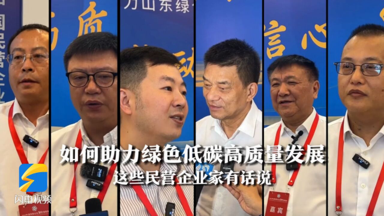 如何助力绿色低碳高质量发展?这些民营企业家有话说