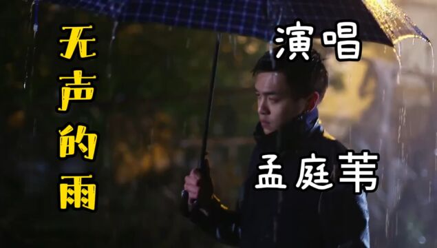 孟庭苇演唱经典老歌《无声的雨》优美动听的声音,带着淡淡忧伤