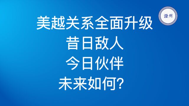 美越关系全面升级:昔日敌人,今日伙伴,未来如何?