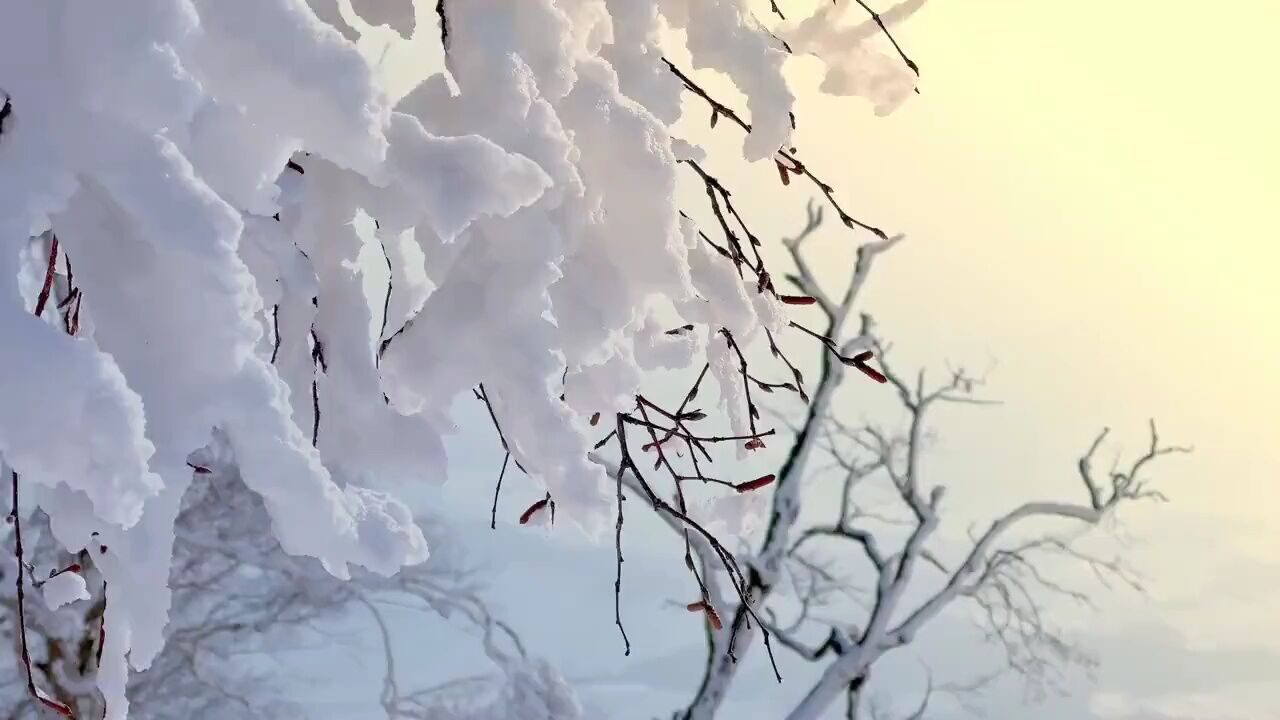 蛟河市西土山冬日雪景美如画