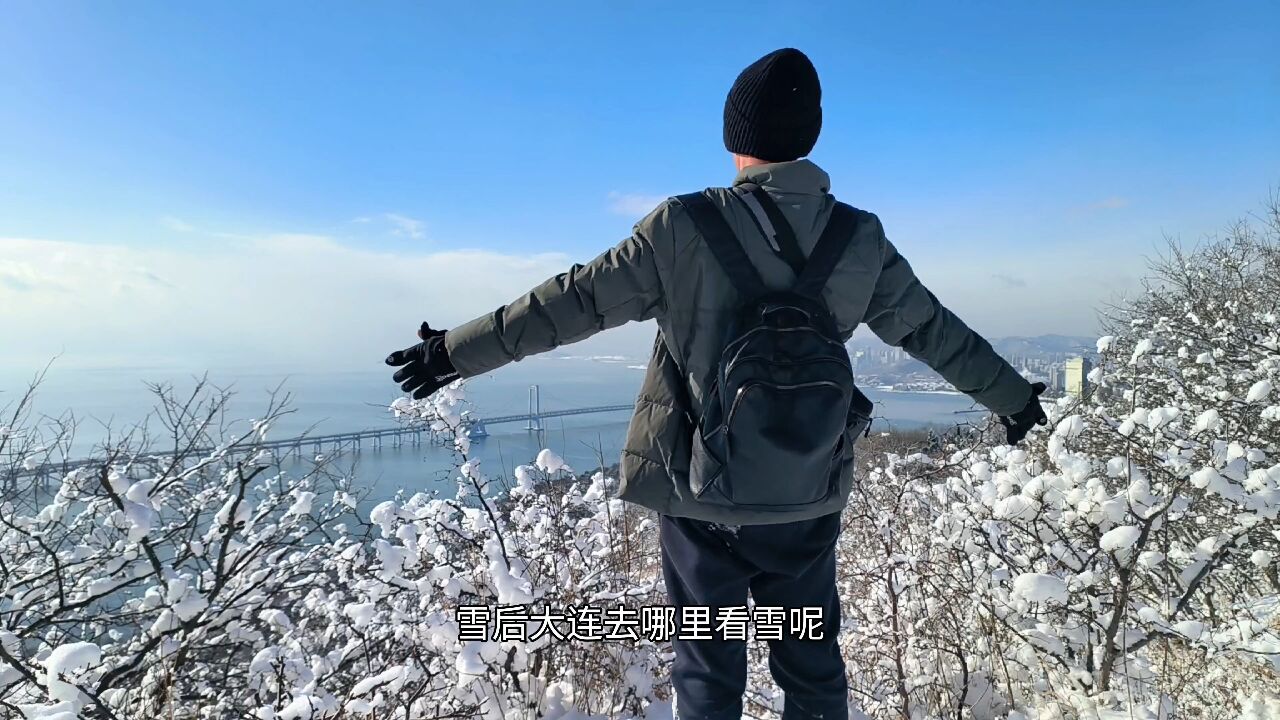 大连最美雪景观赏地,看看是哪里,雪后莲花山观景台