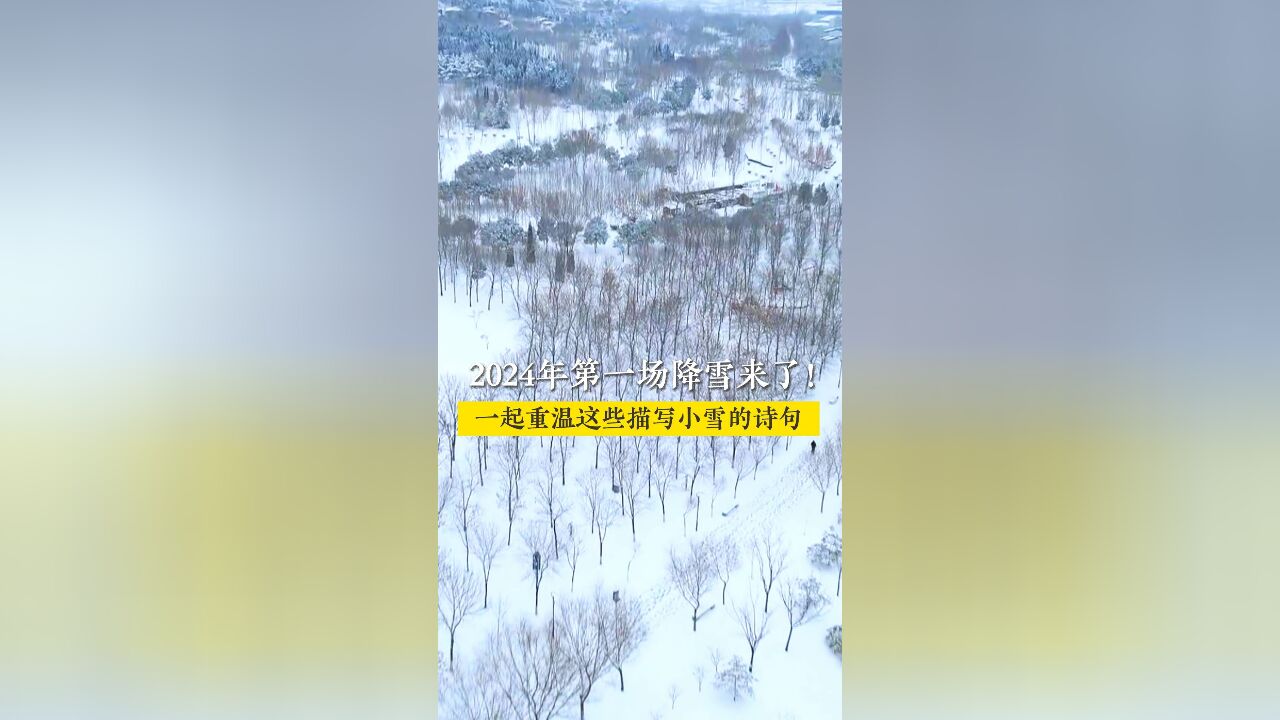 山东多地迎来2024年第一场雪!一起重温这些描写小雪的诗句