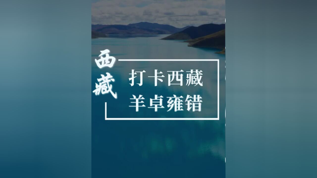 羊卓雍错,天上的繁星,湖畔的羊群.