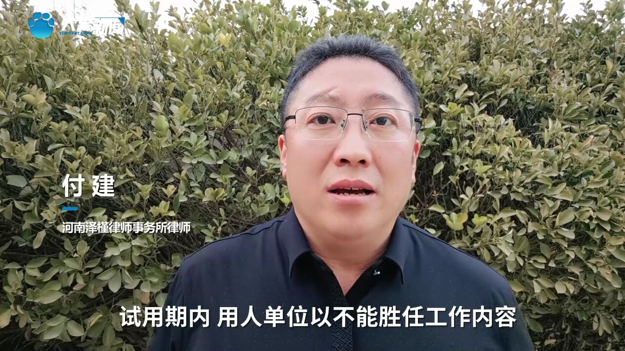 女高管违法开除员工?律师:其行为违反劳动法