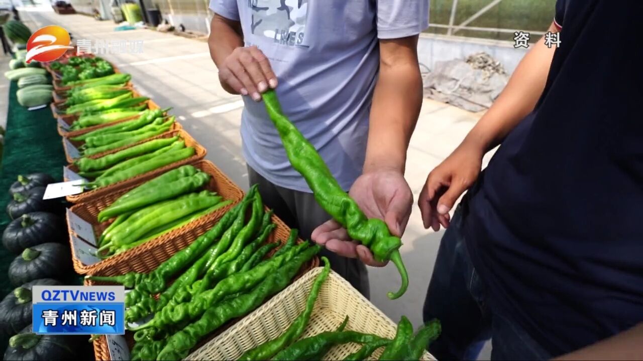 青州辣椒种植系统入选山东省第二批农业文化遗产资源名单