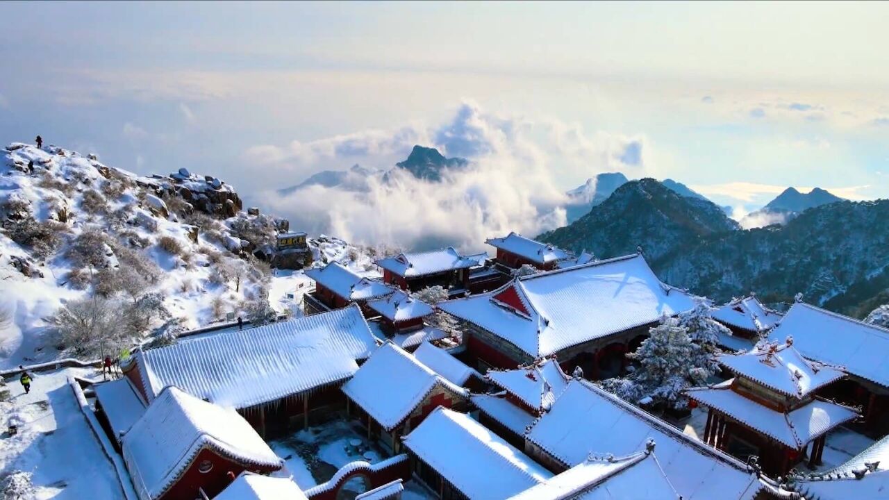 诗画山东|飞雪迎春到 瑞雪兆丰年