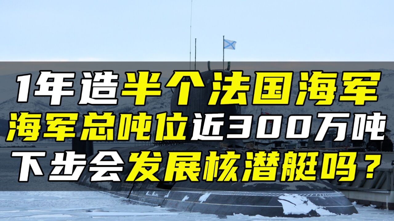 1年造半个法国海军,海军总吨位近300万吨,下步会发展核潜艇吗?#创作发发发