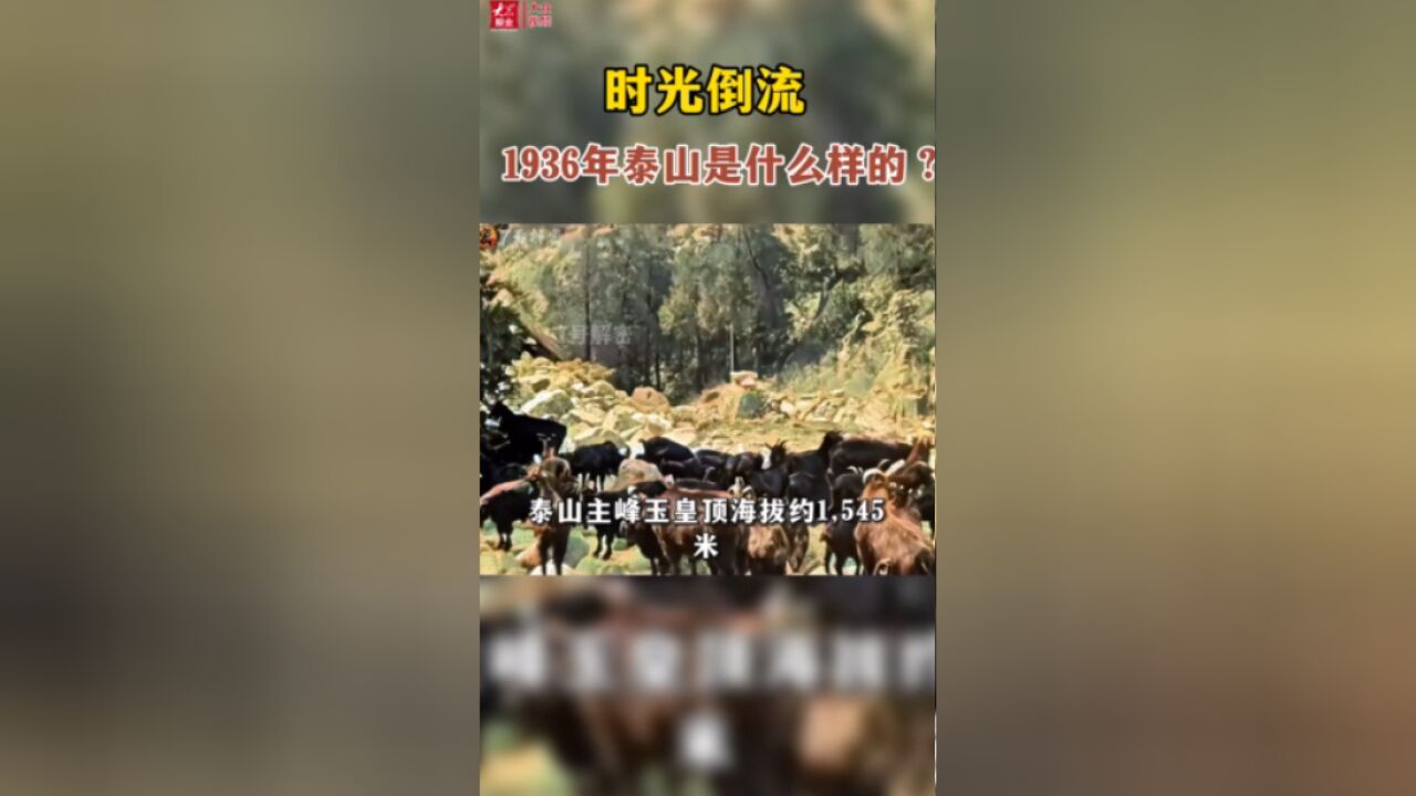 罕见!1936年的泰山什么样?来看88年前霍西夫人拍摄的视频