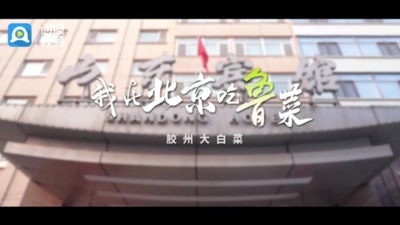 《我在北京吃鲁菜》第一集 胶州大白菜