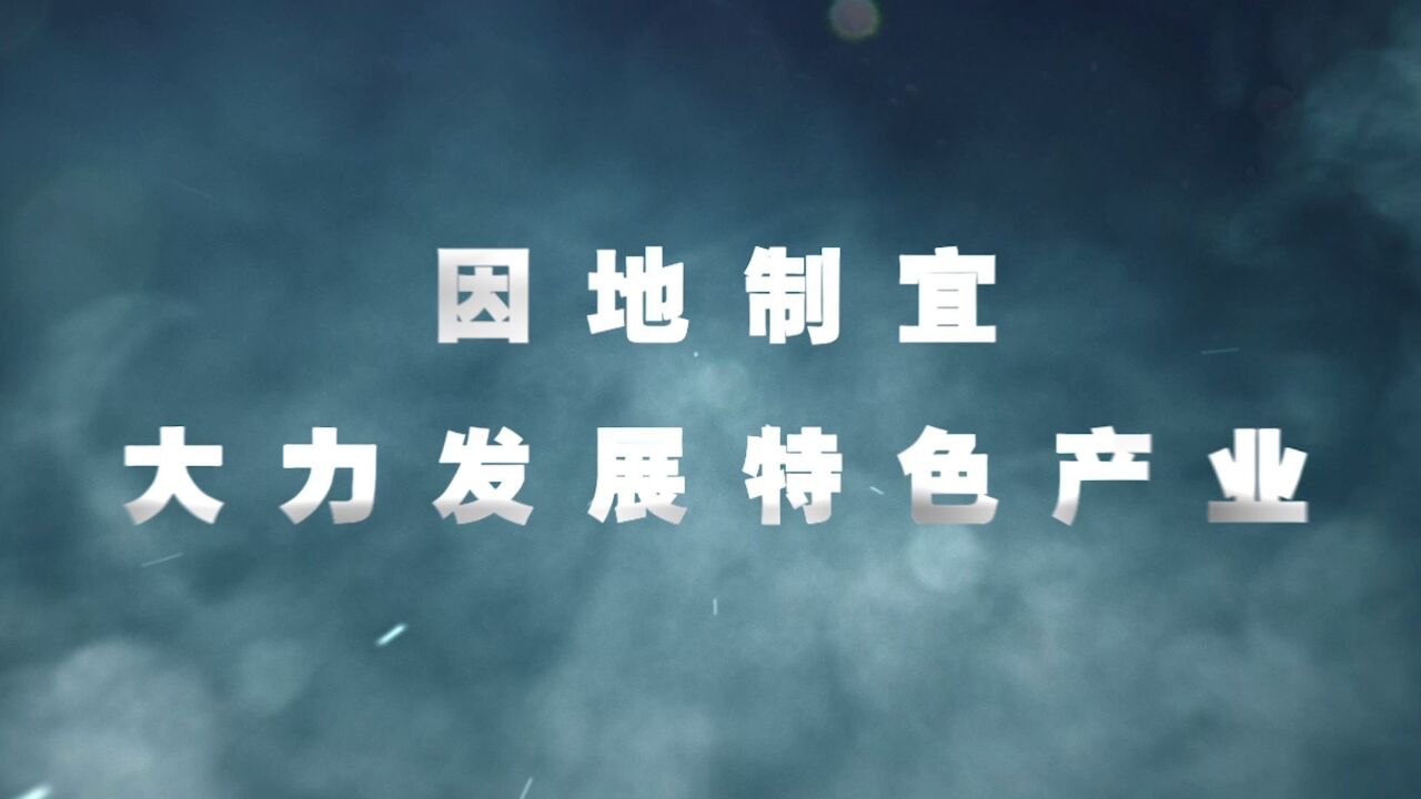 2024年中央一号文件精神解读:提升乡村产业发展水平