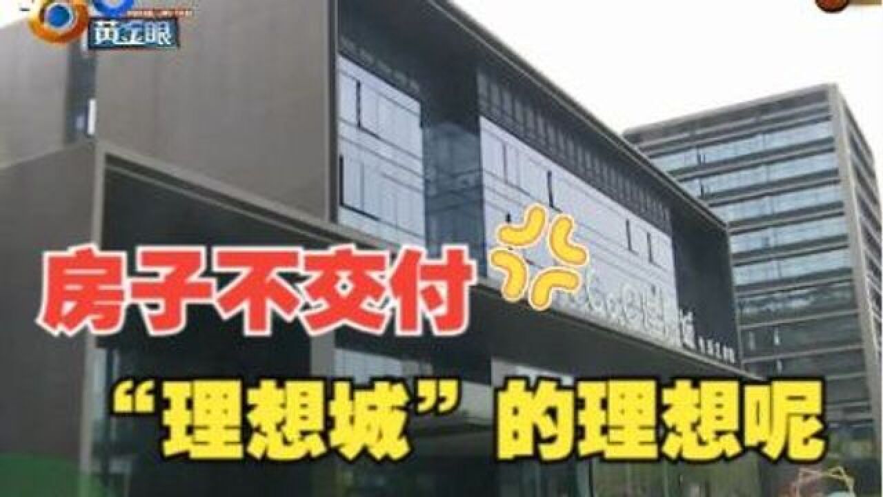 公寓迟迟不交付,“理想城”的理想在哪里?