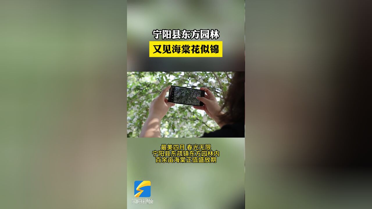 花开泰安丨宁阳县东方园林:又见海棠花似锦