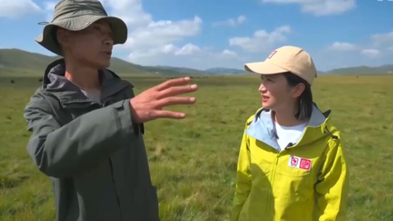 湿地保护区之核心:黄河的蓄水池,生态守护之关键所在