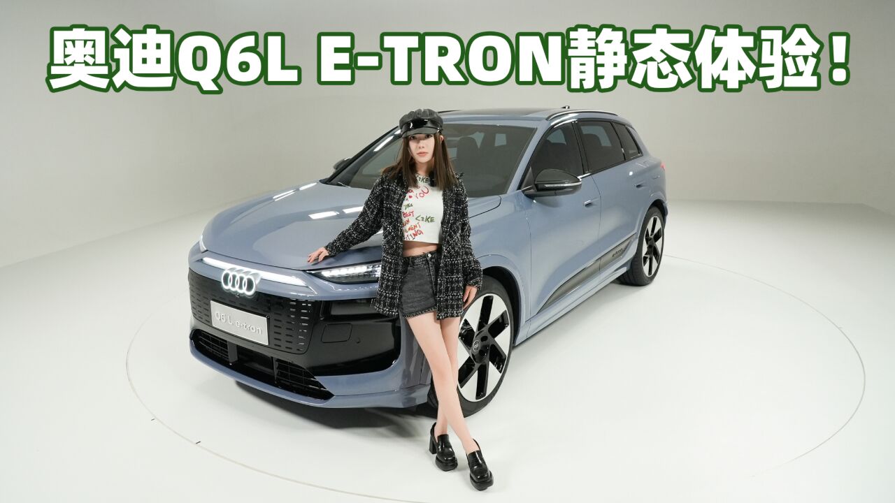 800V架构 PPE平台 静态体验奥迪Q6L etron