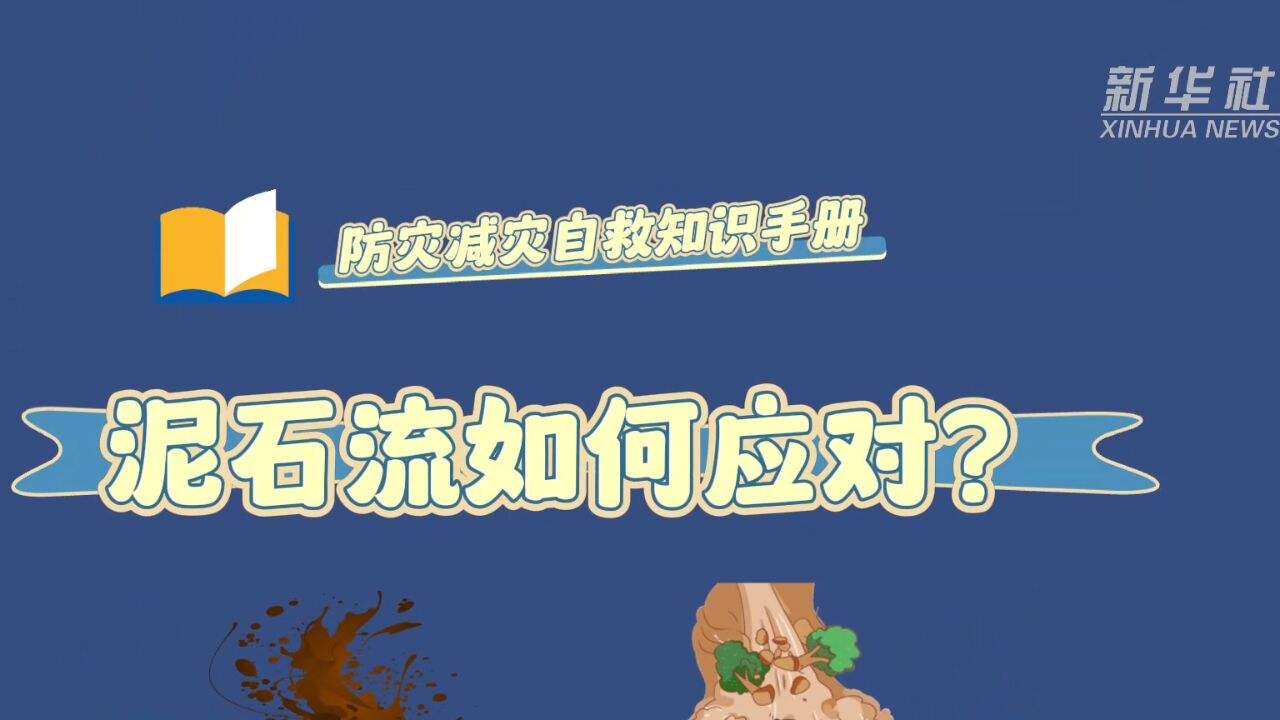 防灾减灾自救知识手册:泥石流如何应对?