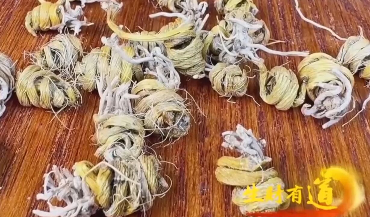 将铁皮石斛做成铁皮枫斗,有19道工序,可以保留其中的营养