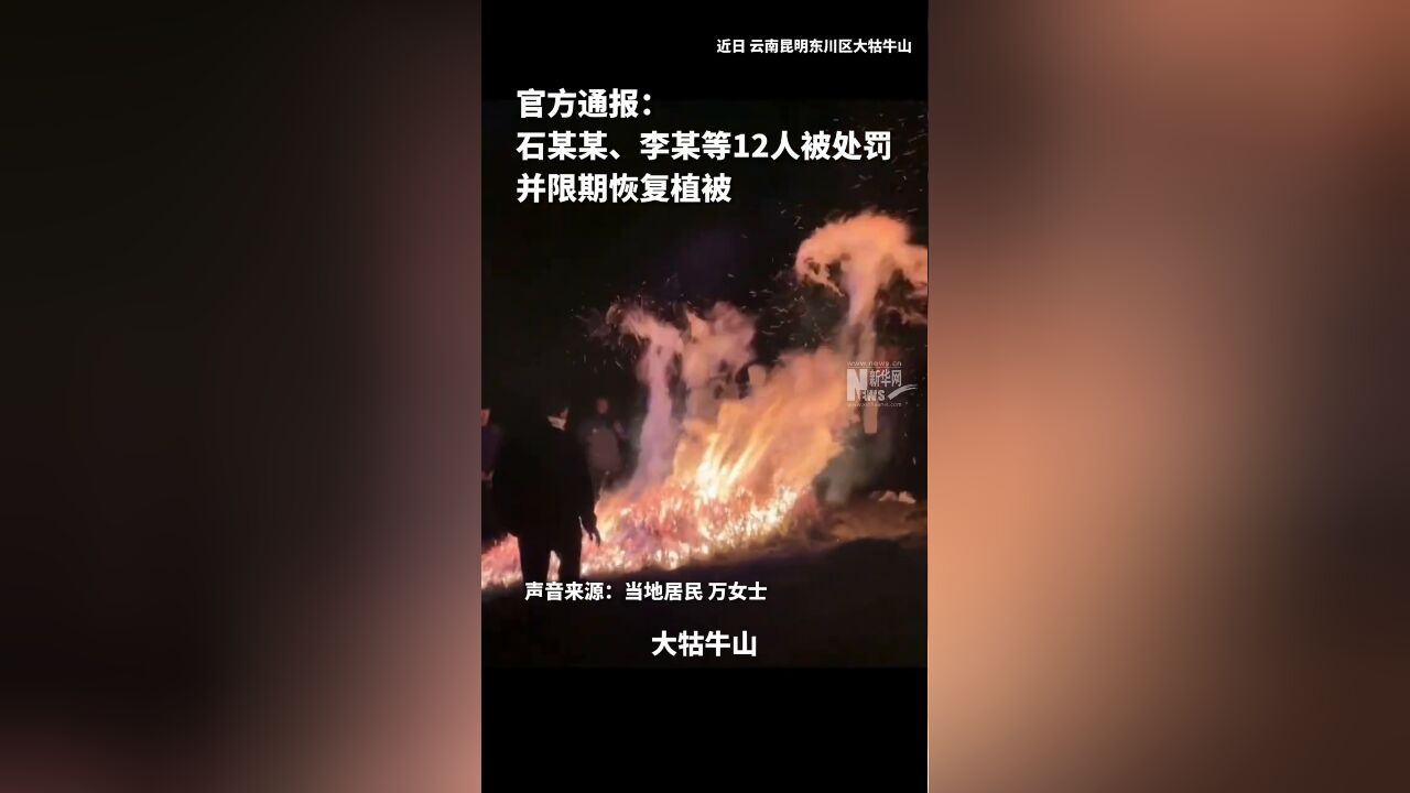 游客在大牯牛山“纵火烧山”?官方通报:12人被处罚