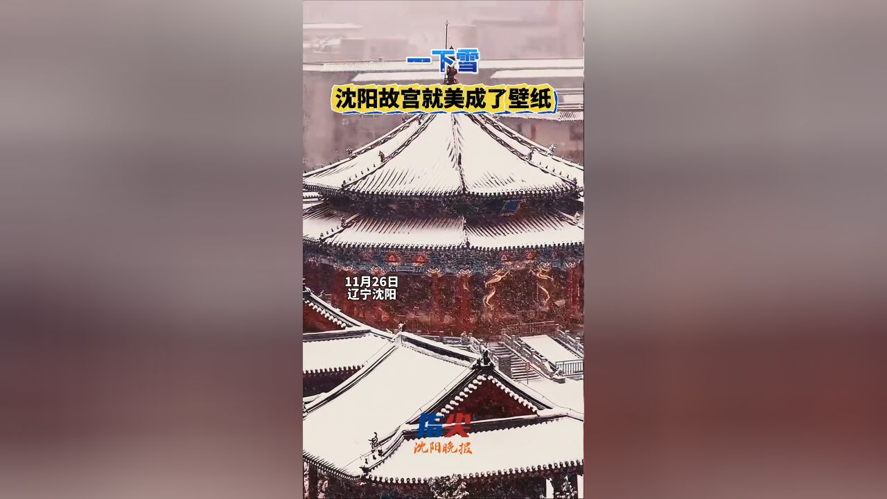 一下雪沈阳故宫就美成了壁纸