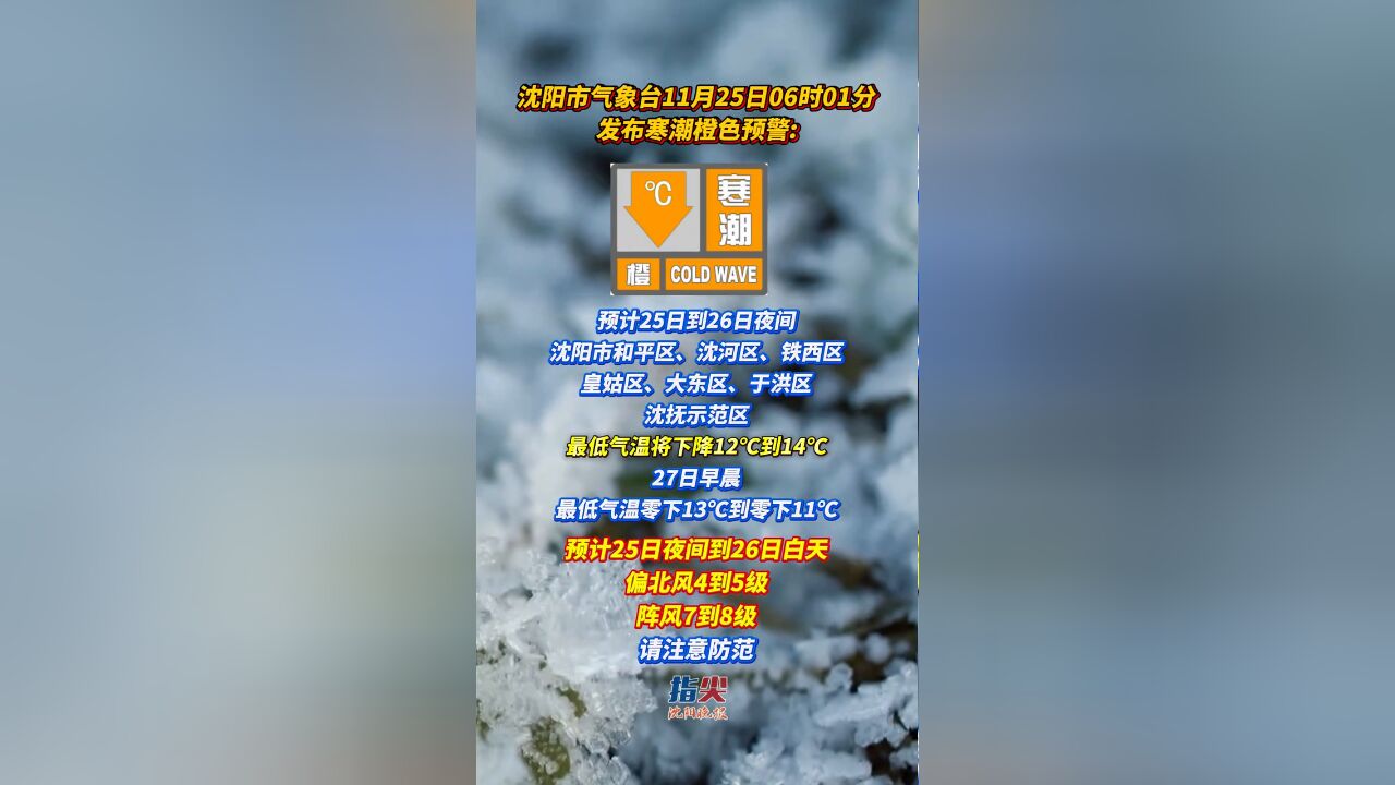 东北局地的雪要下到“发紫” 沈阳市气象台发布寒潮橙色预警