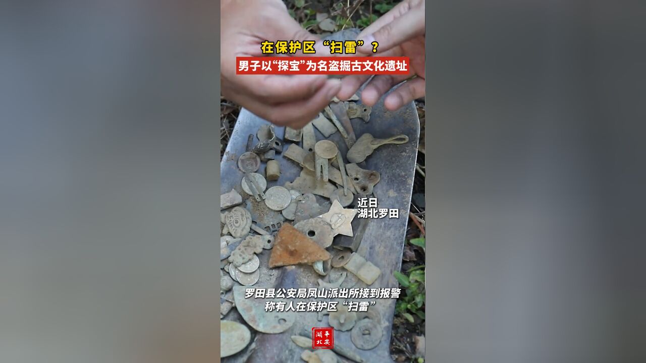 在保护区“扫雷”?男子以“探宝”为名盗掘古文化遗址